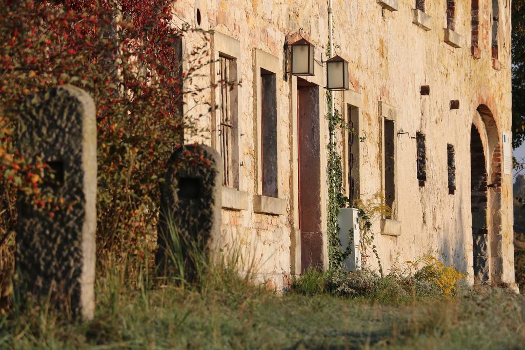 Agroturystyka Dom Pod Sowa Nawojow Luzycki Exterior foto